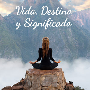 Vida, destino y significado