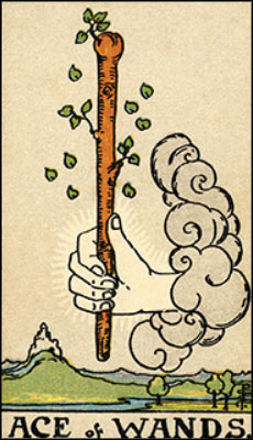 Minor Arcana The Ace of Wands Tarot Card