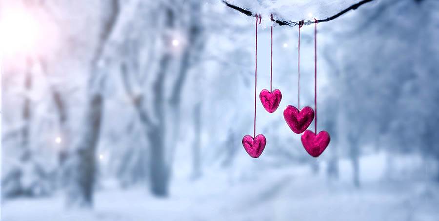 heart ornaments on a tree branch