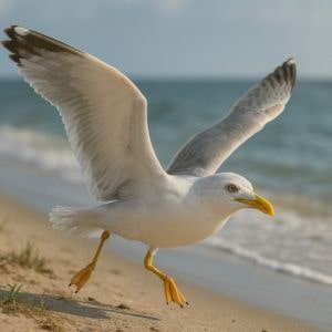 Seagull Spiritual Meaning: Freedom, Resilience & Divine Messengers
