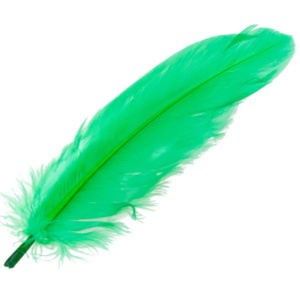 Green Feathers