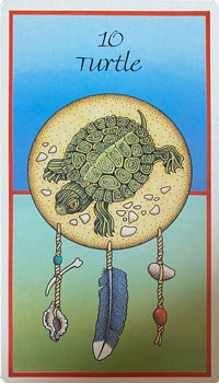 Turtle Medicine Card