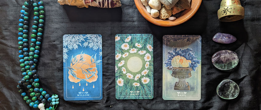 3 Card Oracle Spread
